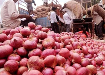 প্রথম রোজাতেই উত্তপ্ত পেঁয়াজের বাজার: কেজিতে বাড়ল ১০-১৫ টাকা