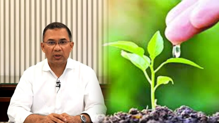 ‘প্রত্যেক শিক্ষার্থীকে অন্তত একটি গাছ লাগাতে হবে’—প্রধানমন্ত্রীর নতুন নির্দেশনা